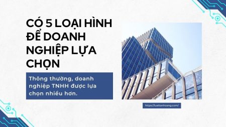 Có 5 loại hình doanh nghiệp lựa chọn