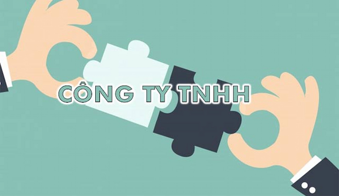 Thông tin cần biết về công ty TNHH