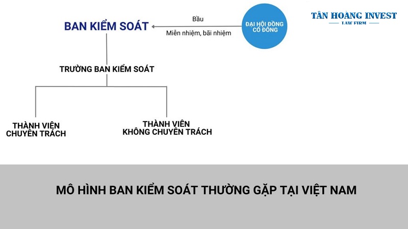 Mô hình cơ cấu ban kiểm soát