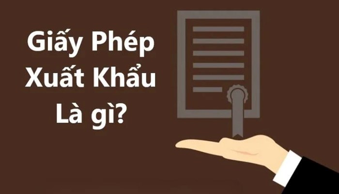 Giấy phép xuất nhập khẩu