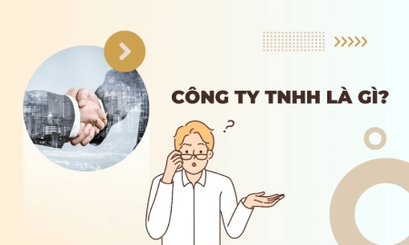 Công ty trách nhiệm hữu hạn là gì?